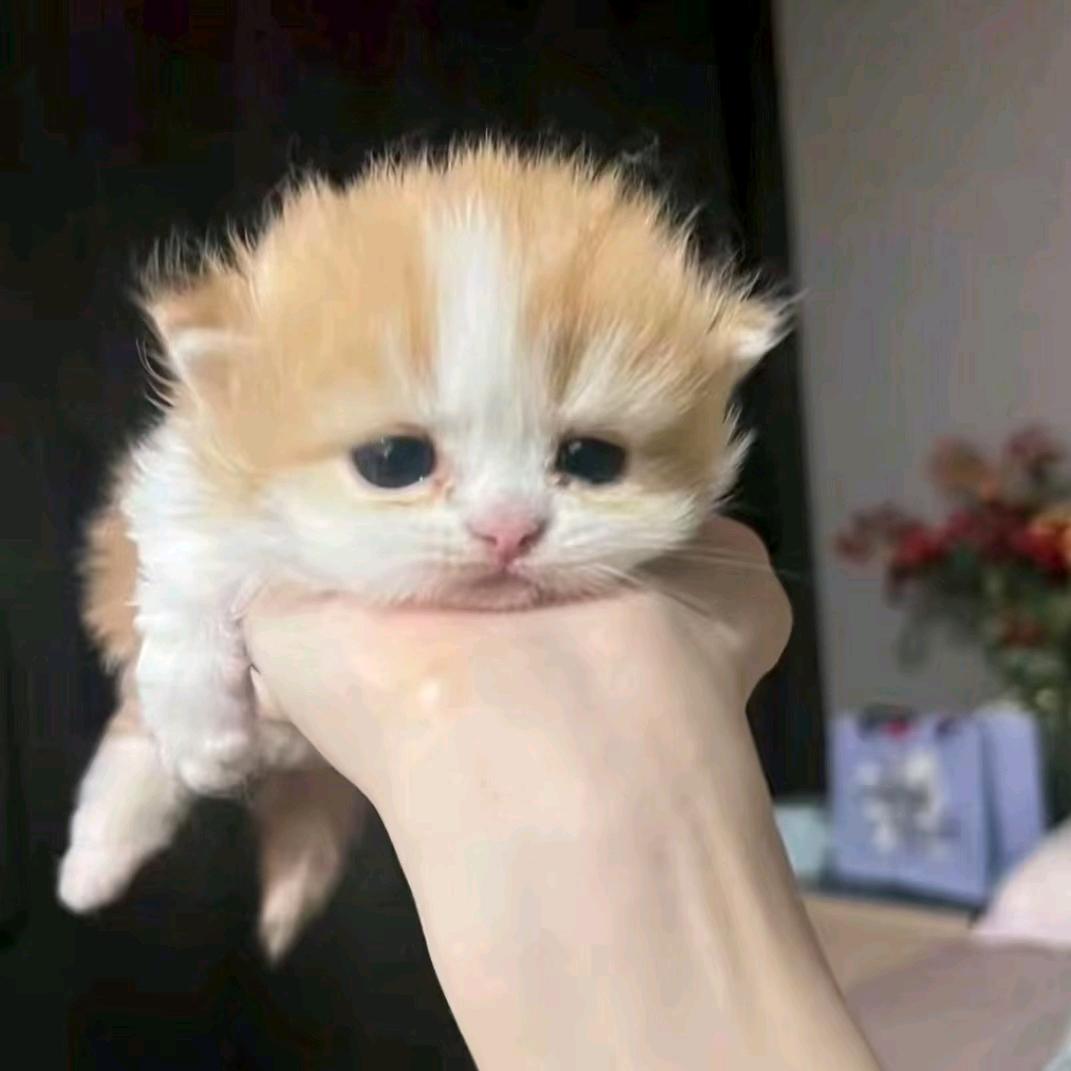 听听我说