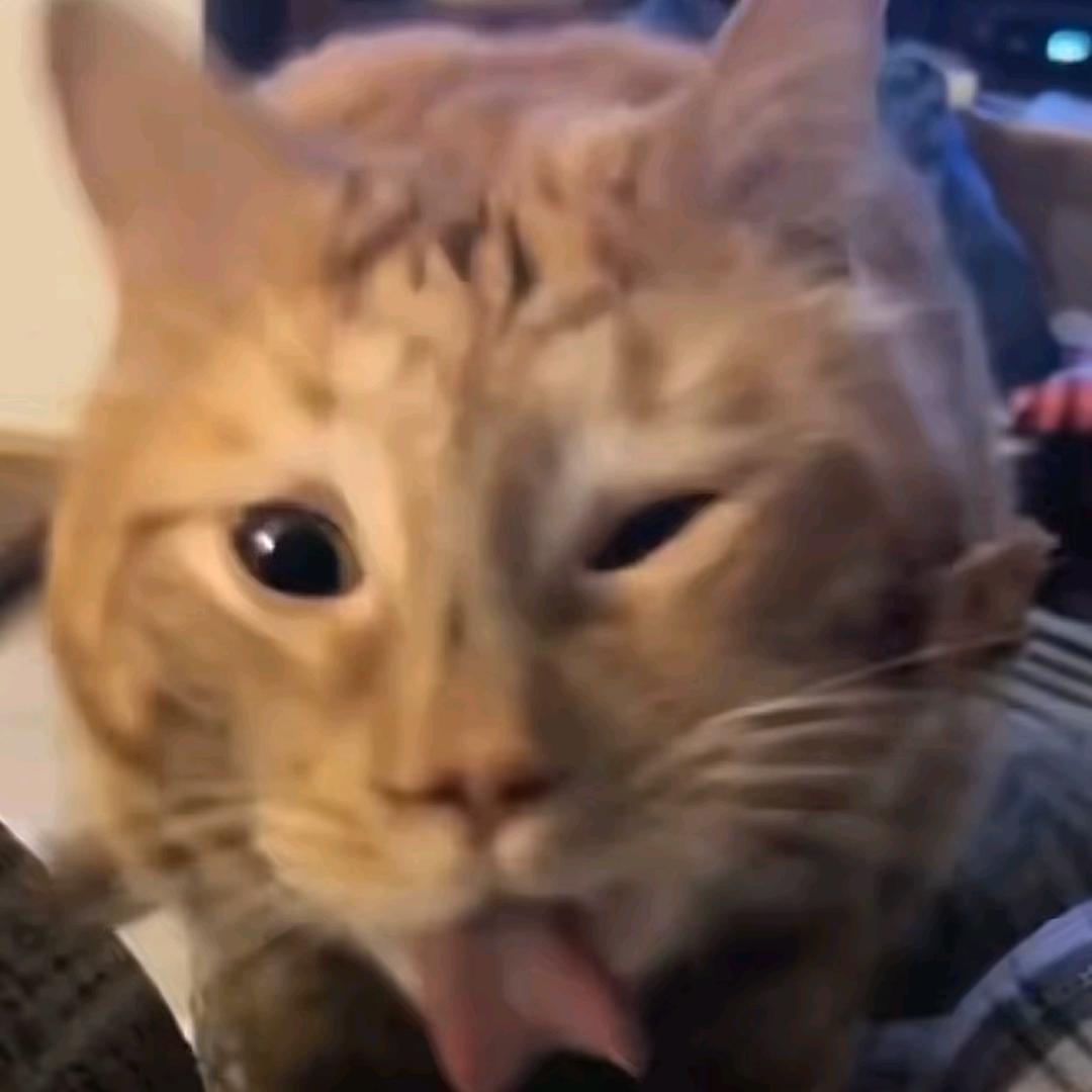 [抖音红包]大吉大利