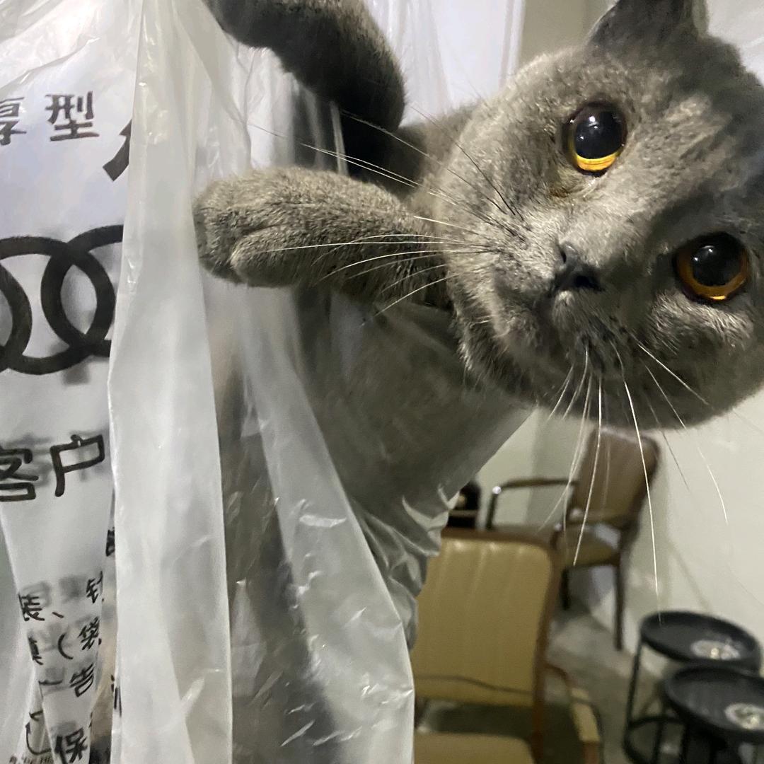 让我侃侃～