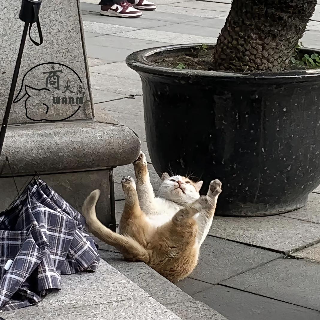 戴望舒