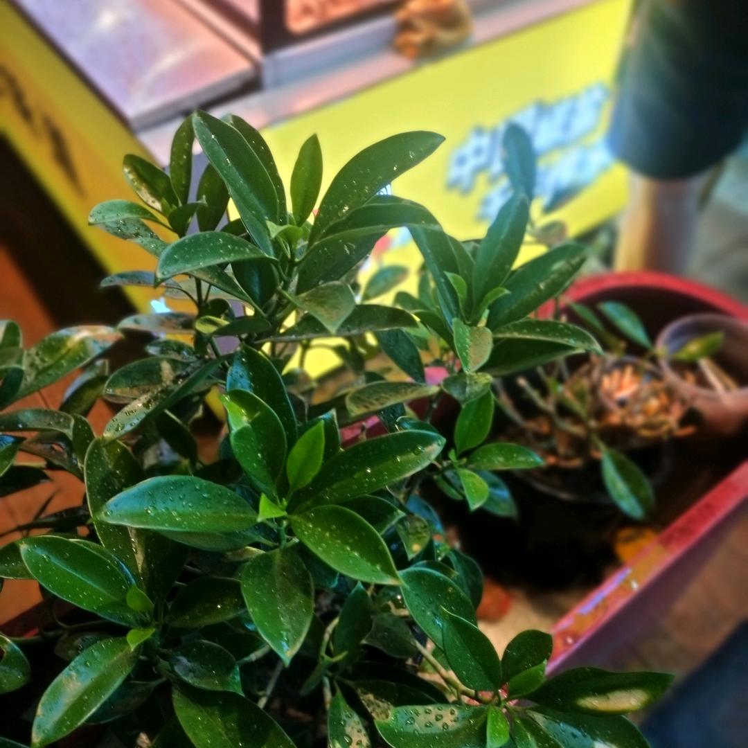 建筑工程技术学校