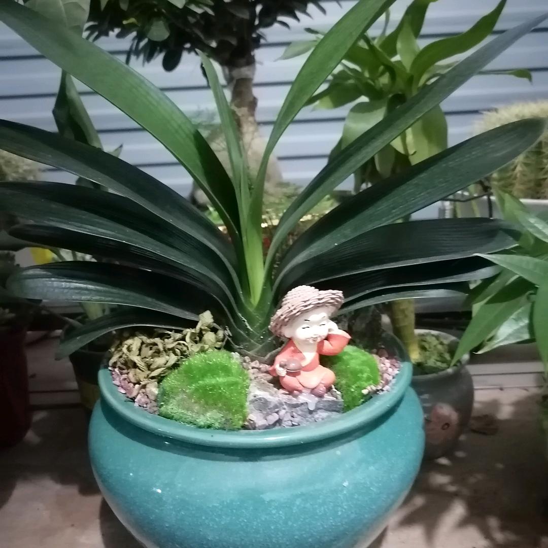 @事业有《陈》