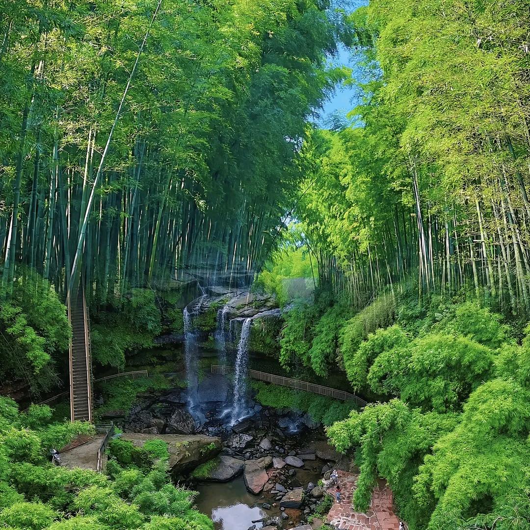 茶山竹锤🔨