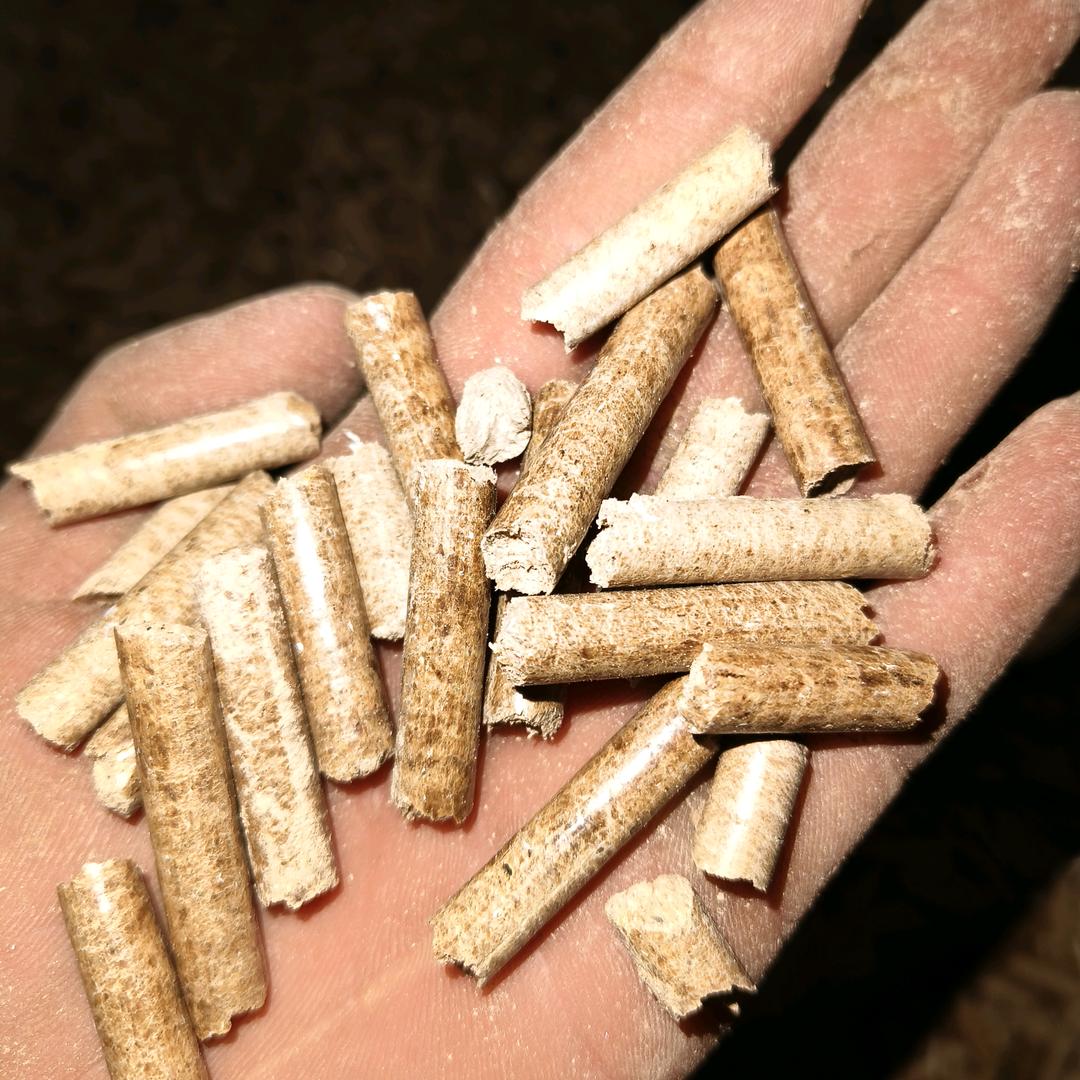 万霖、记录生活