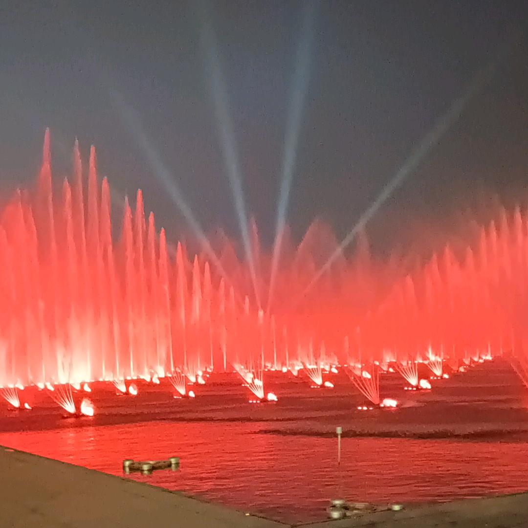 ꧁༺๑未来靠自己๑༻꧂