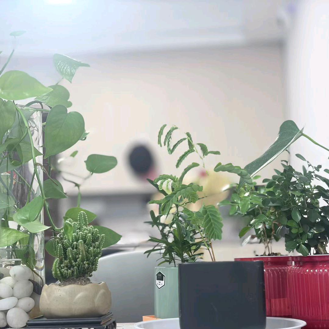 从地球走向地球