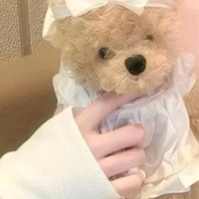 稼轩