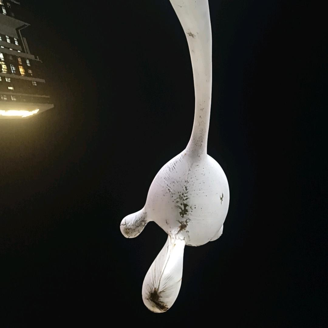 摩音视界💫