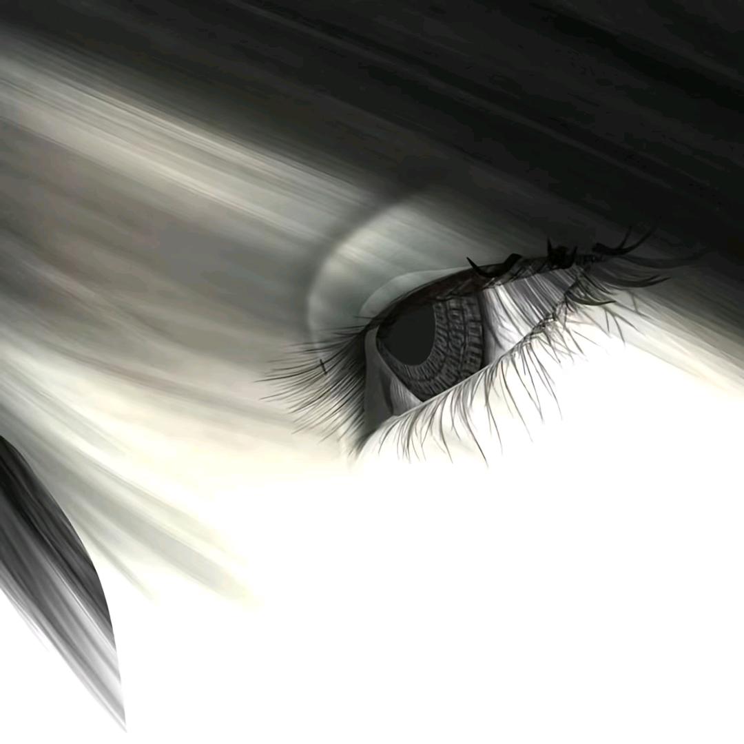 黑蜘蛛