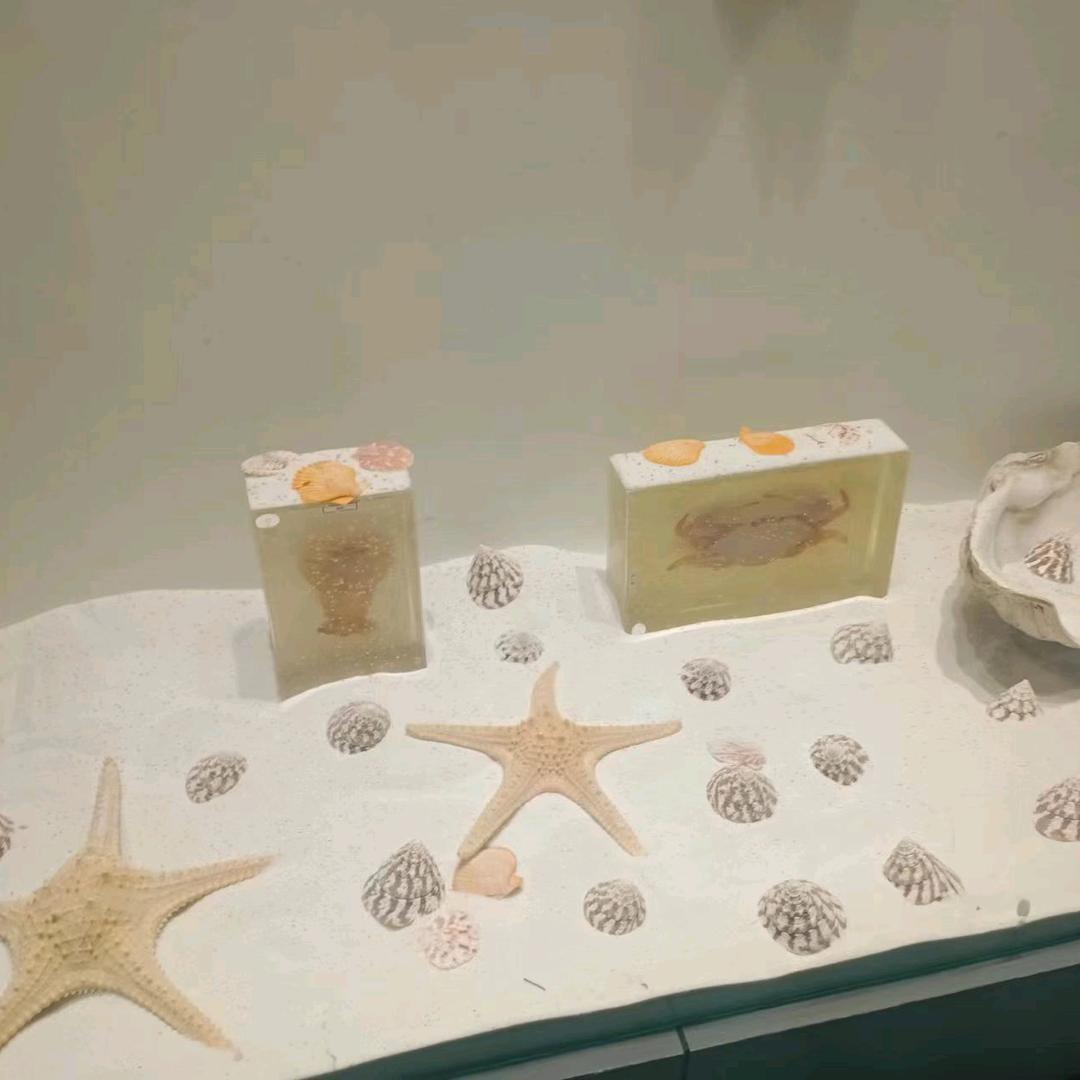 每天闪闪发光
