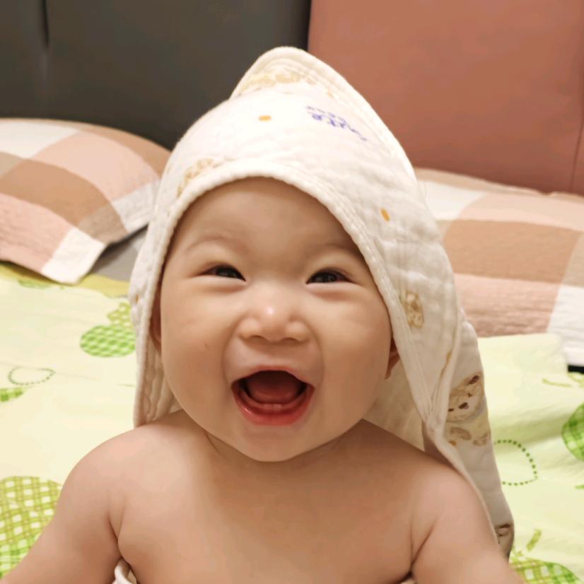 陈杏