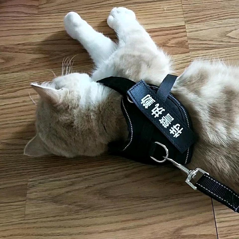 八方来多多多多多多财顺便暴富暴美
