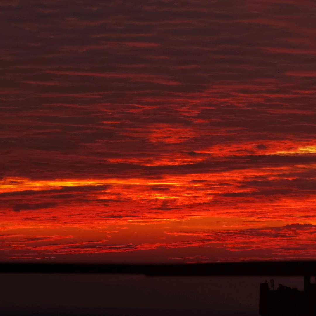 柠檬酸了半个心
