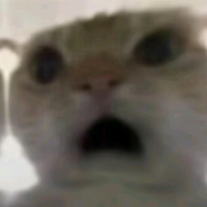 三角洲鼠鼠（接三角洲跑刀）