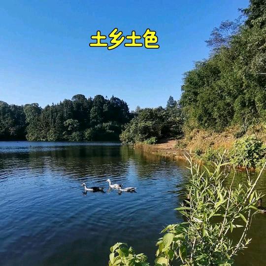 土乡土色一（灵溪毓山叔）