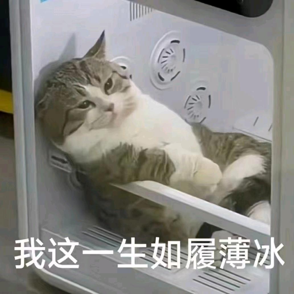 氼乚