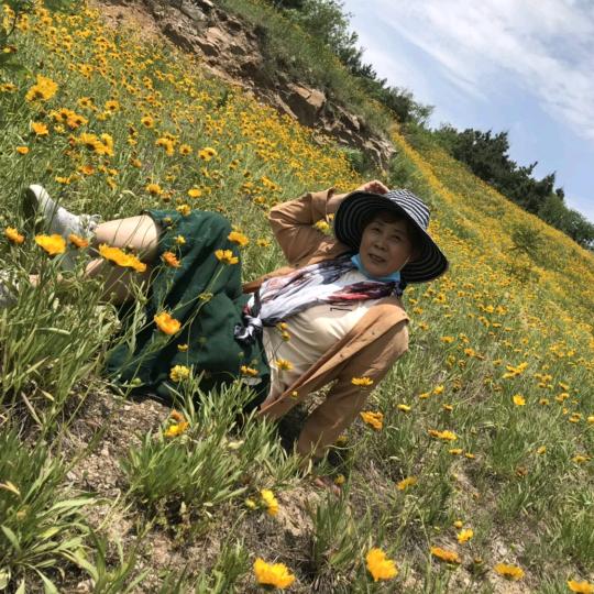 baoxingyi