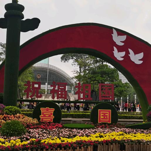 精忠报国。