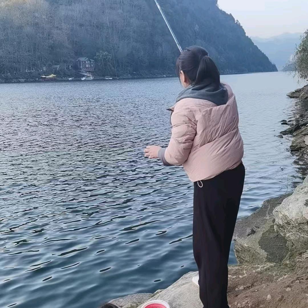 飞不动的鸟