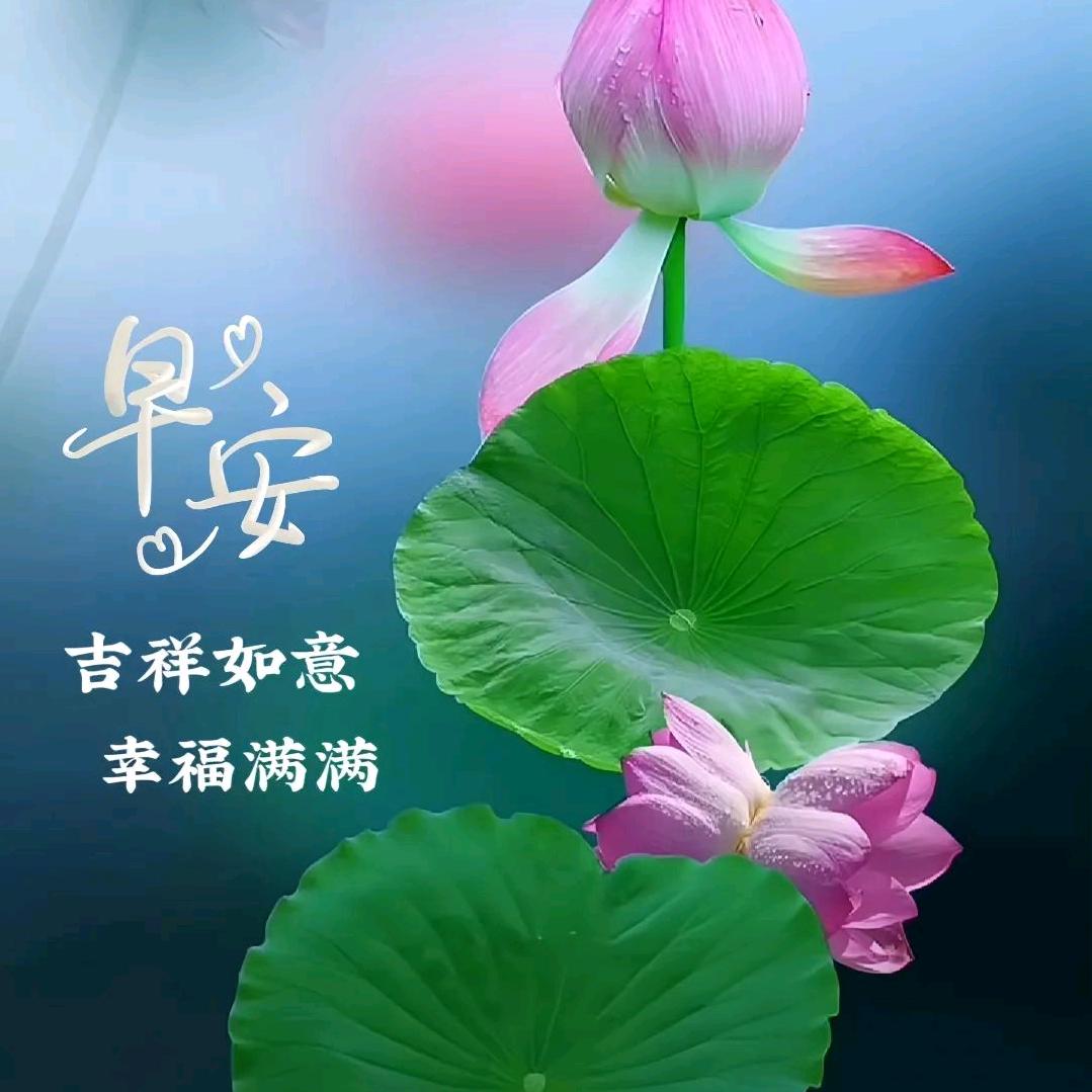 ❣️✨《石⥎头》🇨🇳