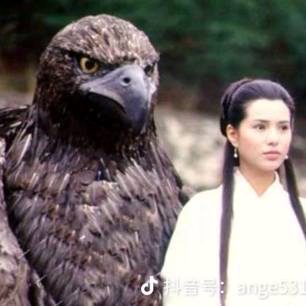 双世萌宝