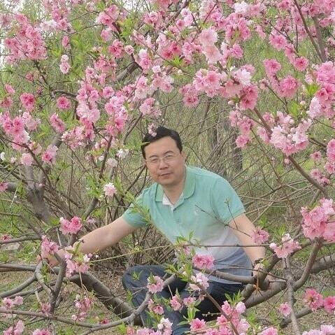 老王好物分享