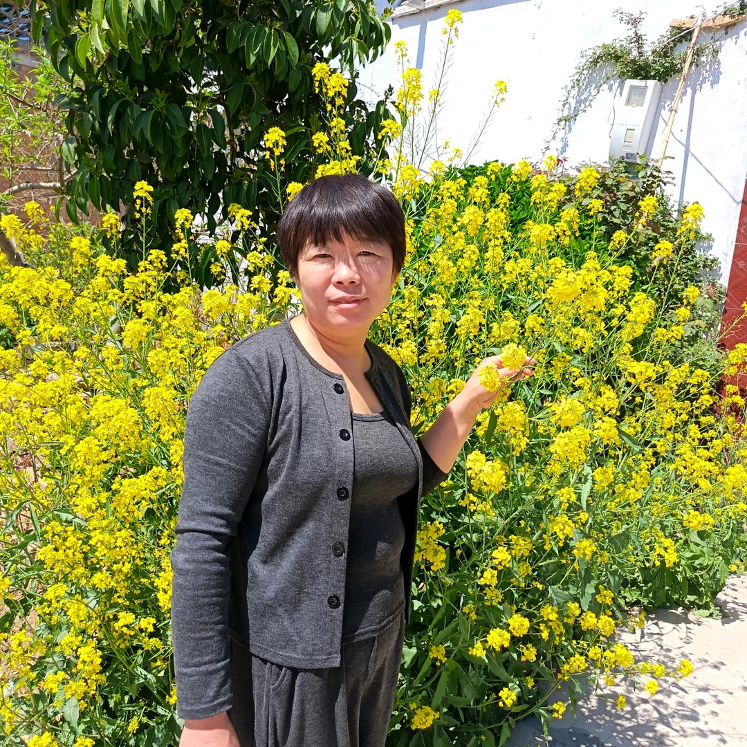 民权县