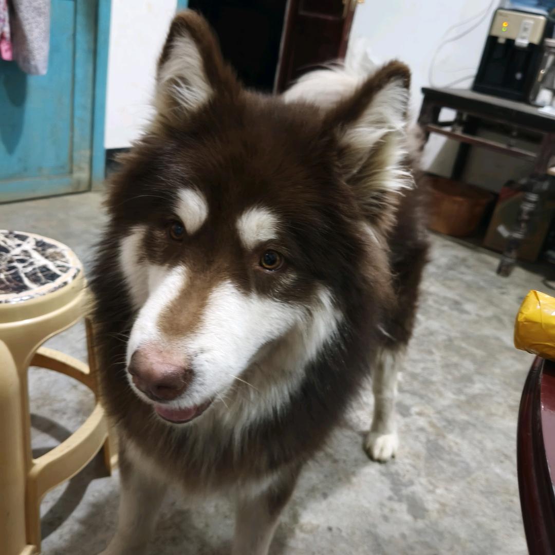 我是农村妹。