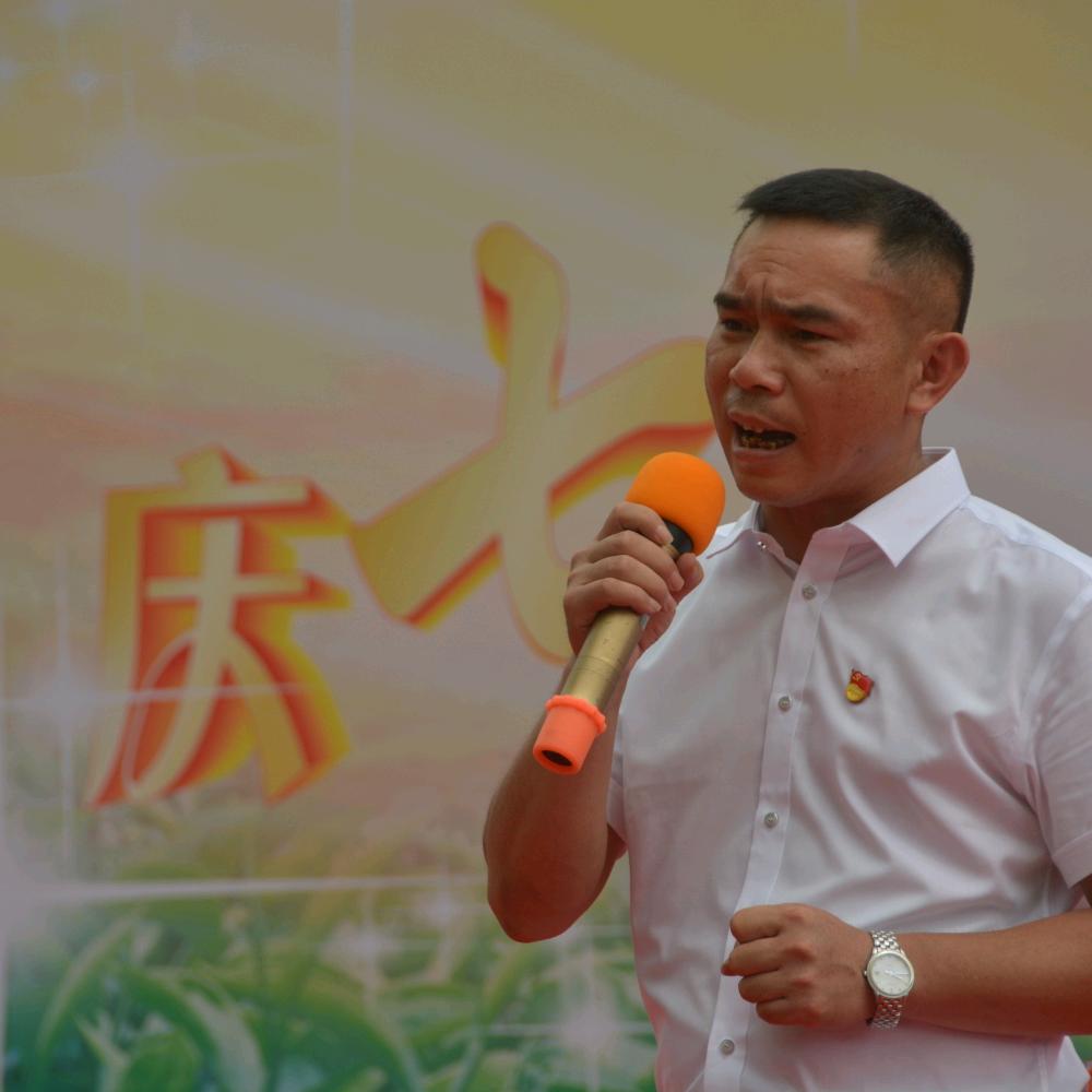 华态茶叶
