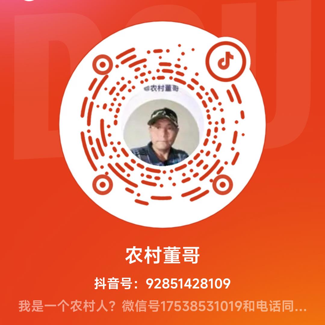 农村董哥