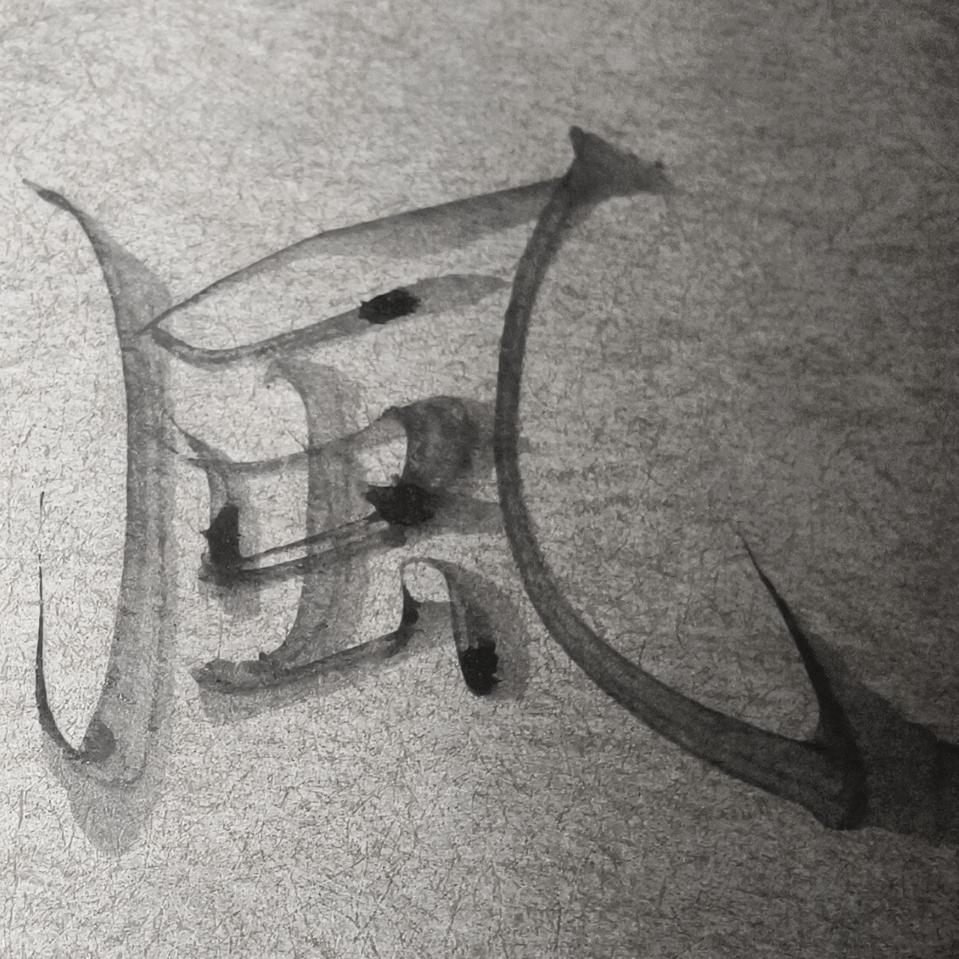 鱼哚哚