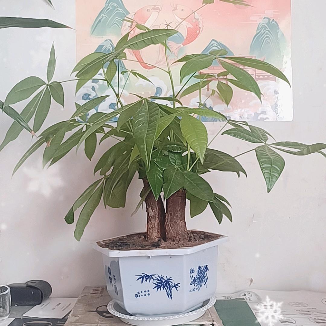 生生不息永留芳