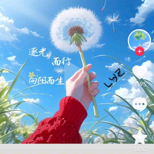 陪我一起看风景