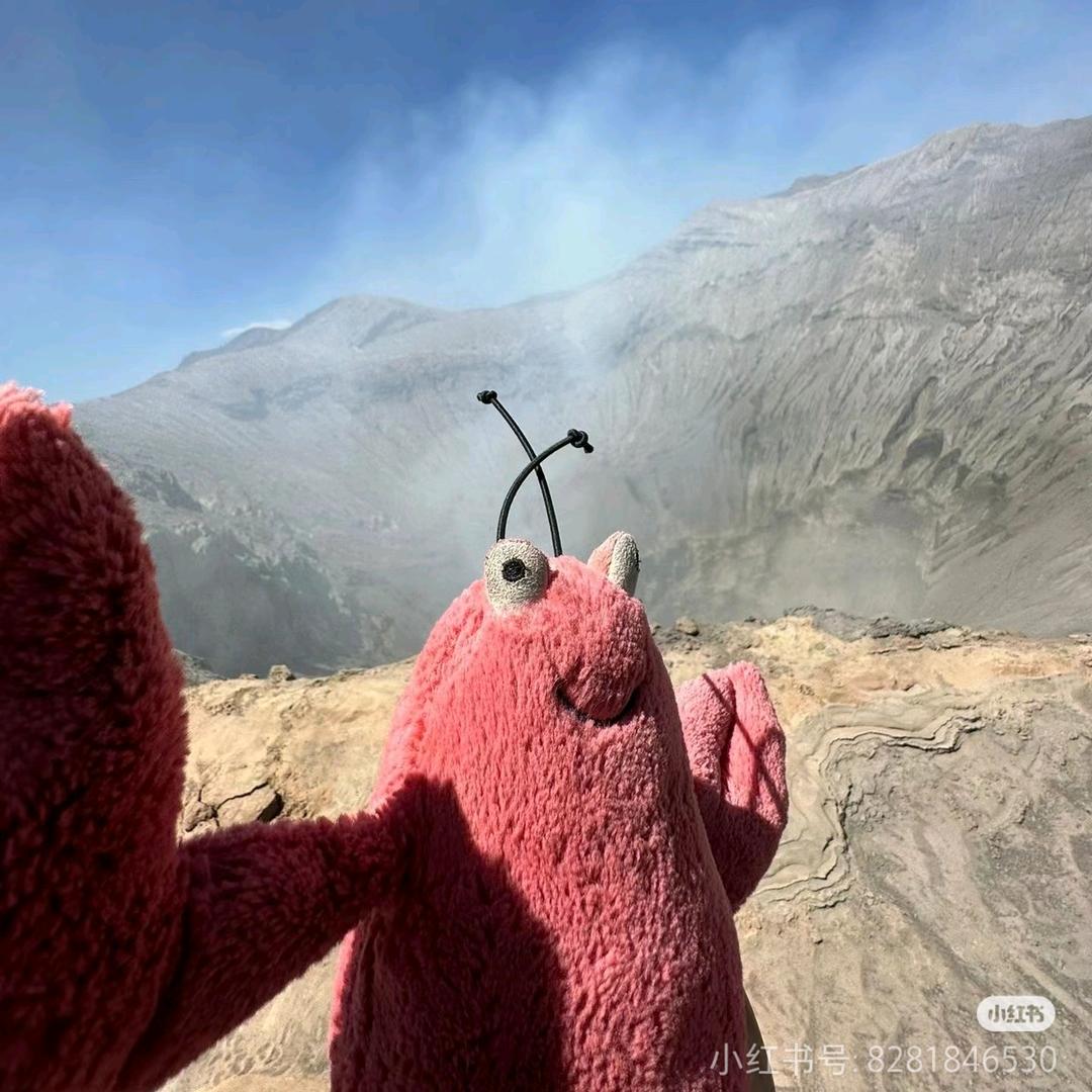 扶自信老太闯红灯