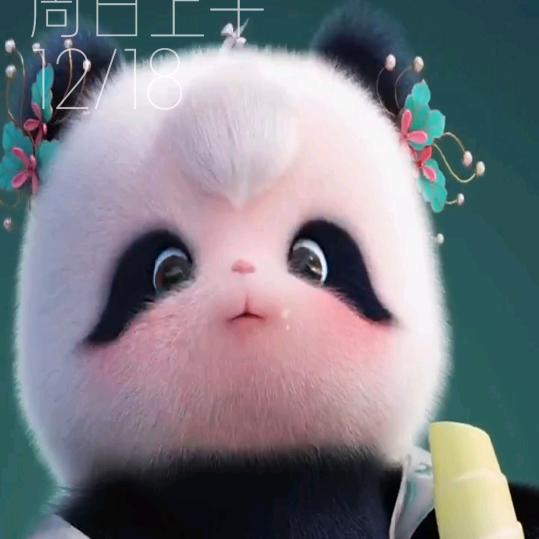 。。。。。。。