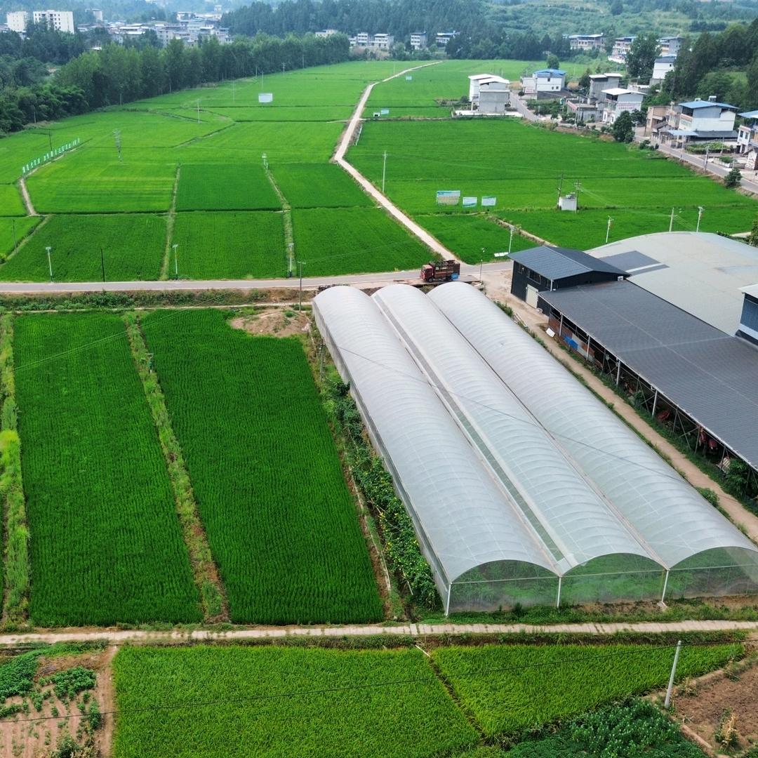 蜀陇香一体化农业