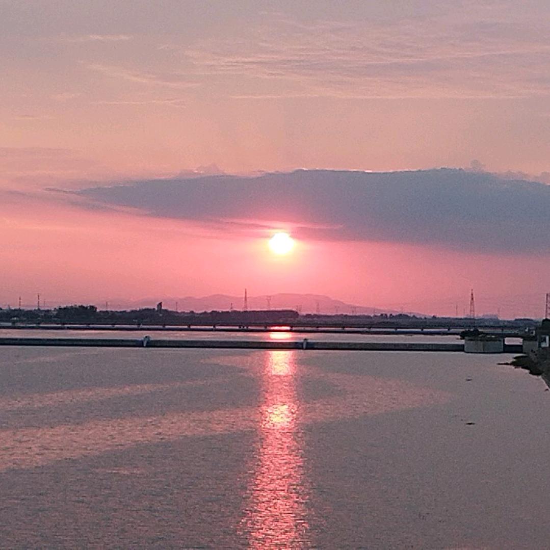 涛哥钓大青