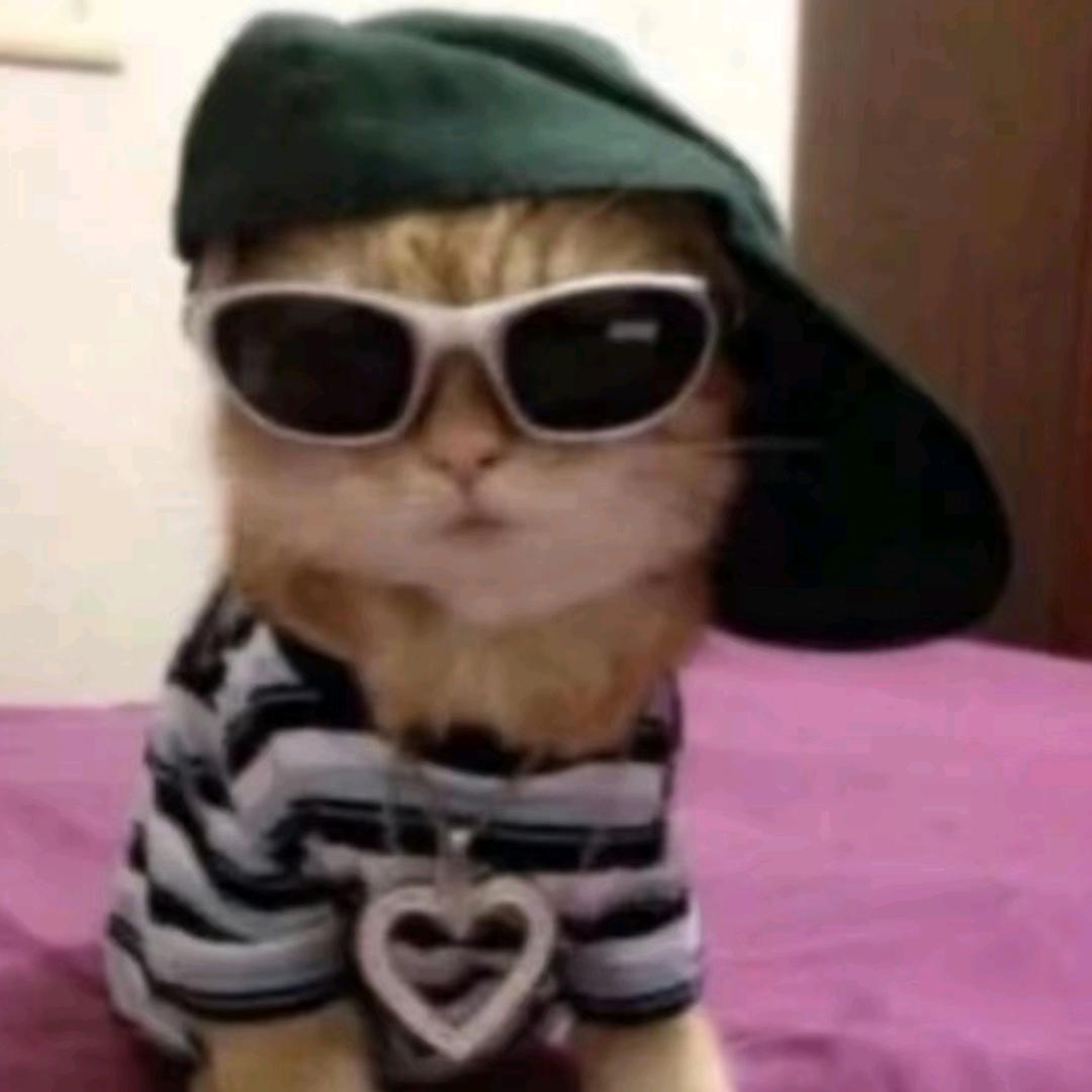 zyt