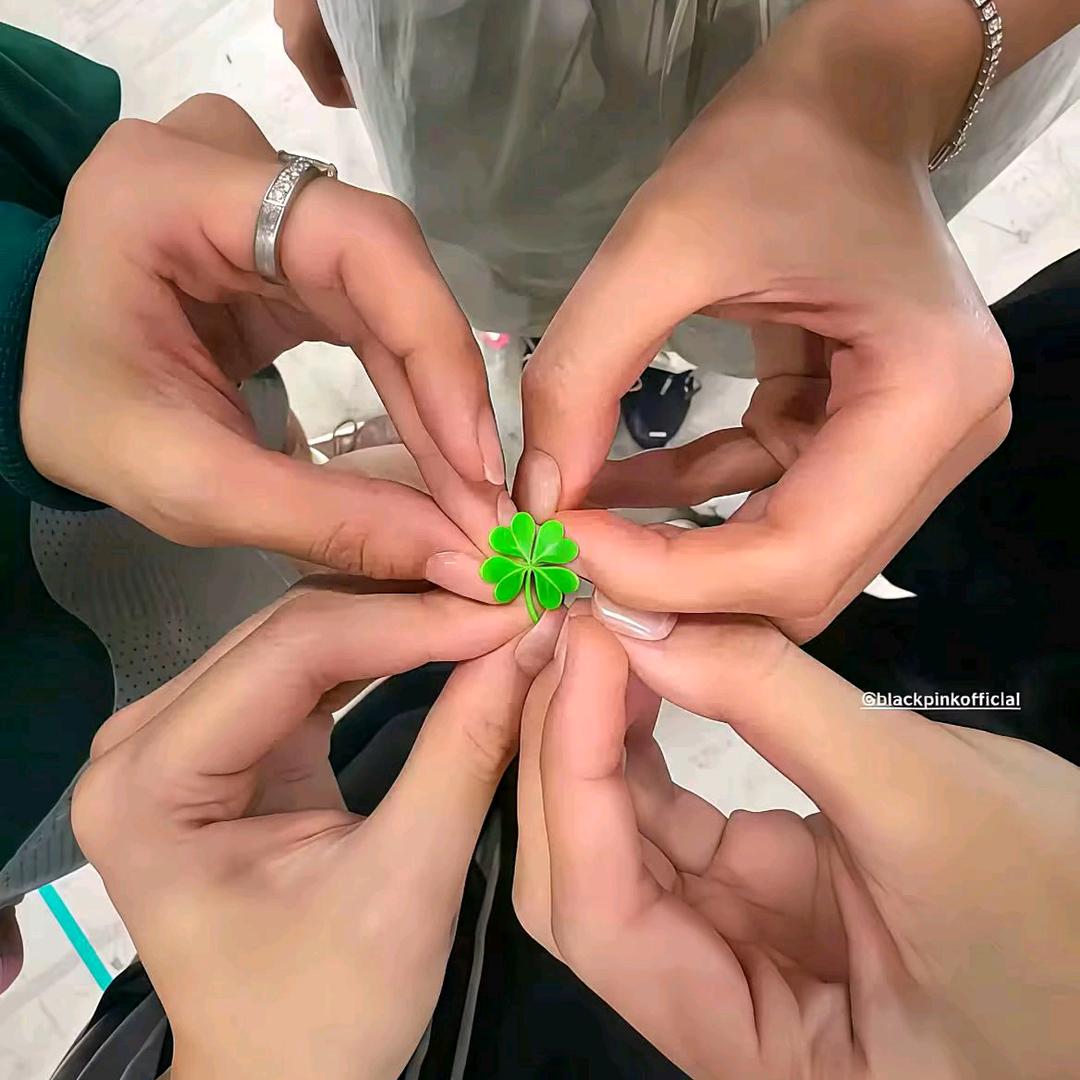 𝒟𝒾𝒶𝓃𝒶ʳ🫧️️️头像