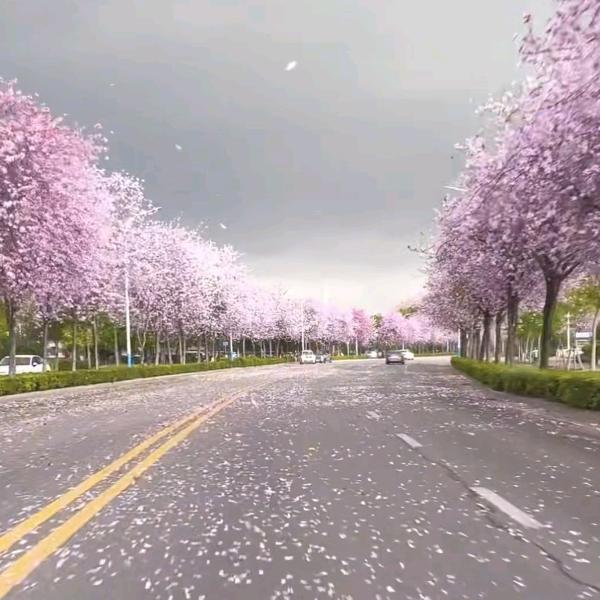 生活虽苦，记得微笑！