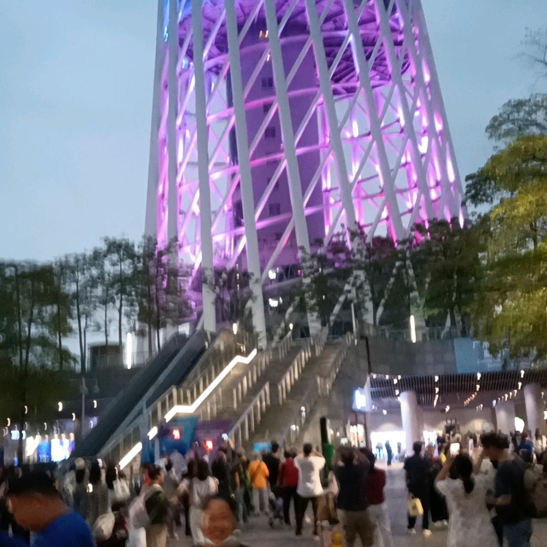 一束花
