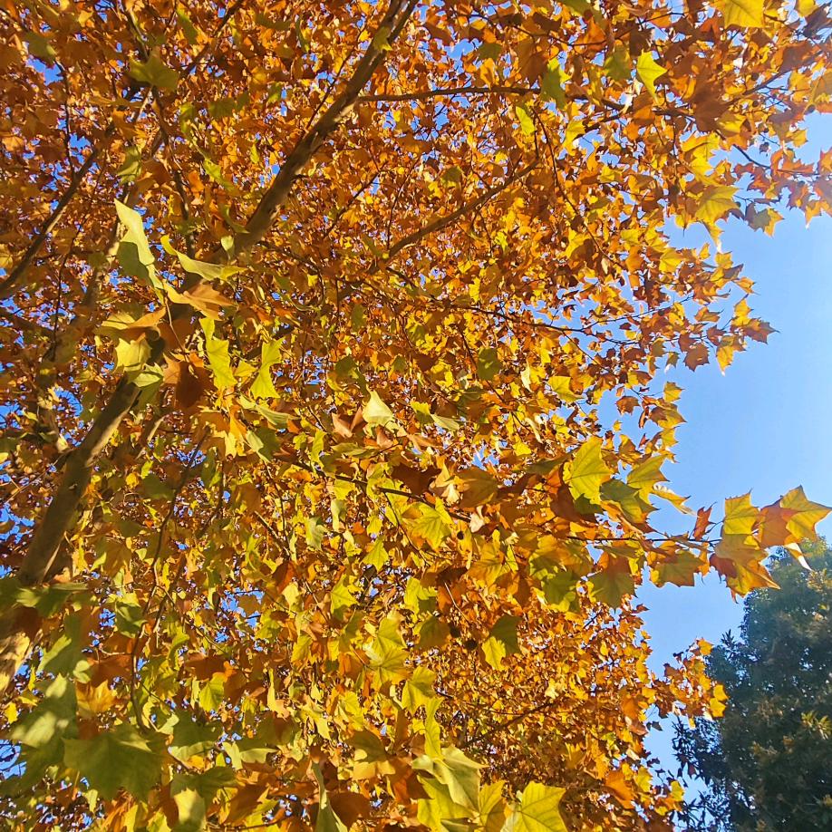 。。。。。。。。