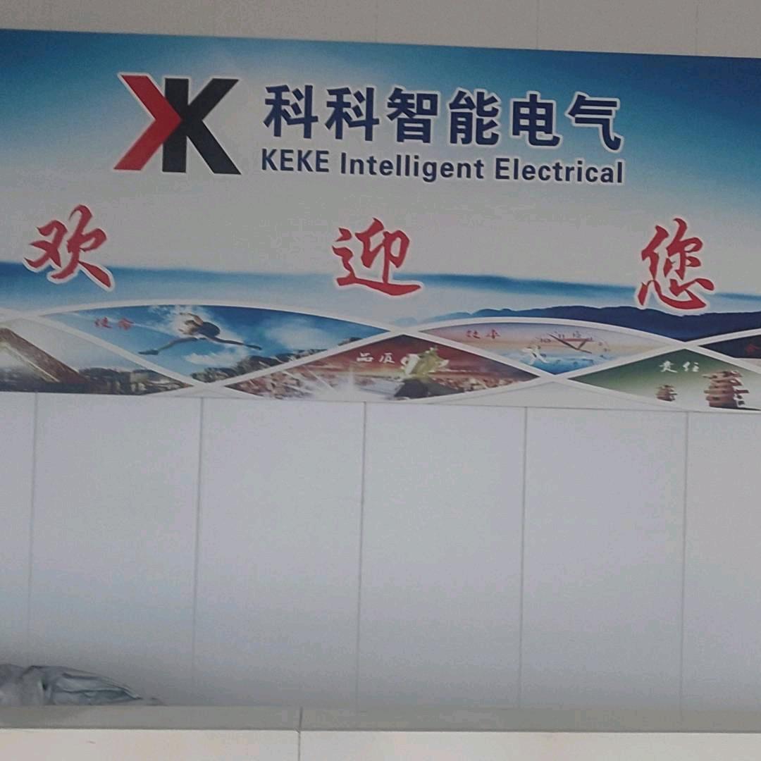 盐城科科智能电器有限公司