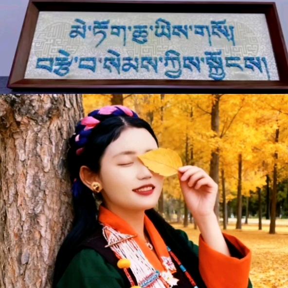 粉🌻墨💐人🌳生🦜