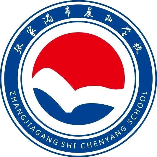 晨阳足球小将