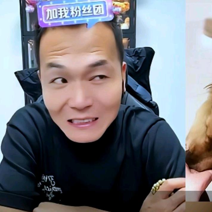 潘子爱玩狗狗呀