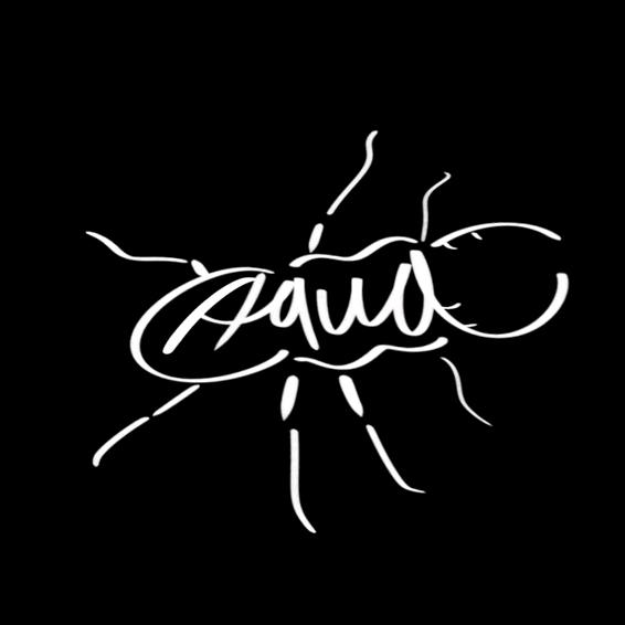 水源Aqua