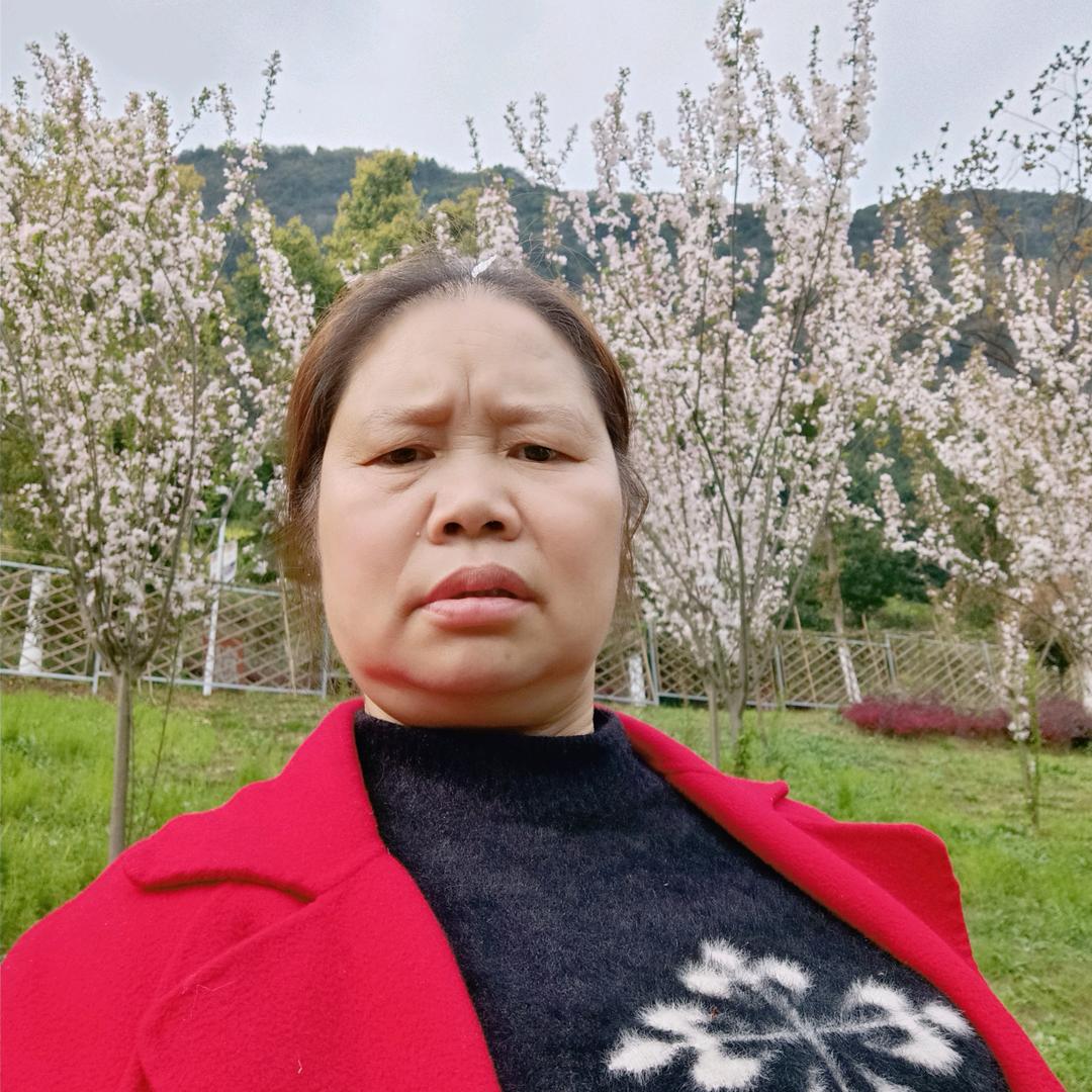 邓姐(聊天不定时)