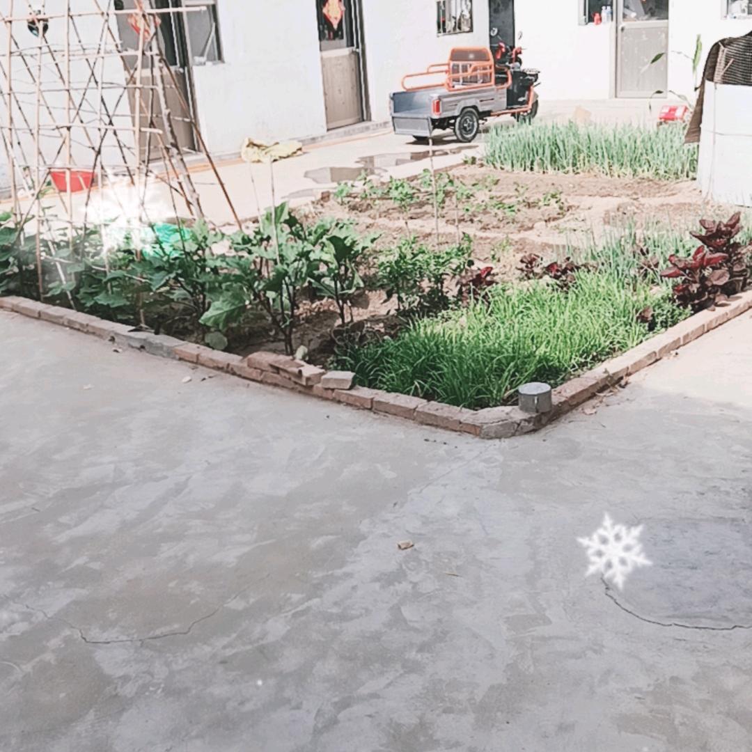 平平安安，健健康康