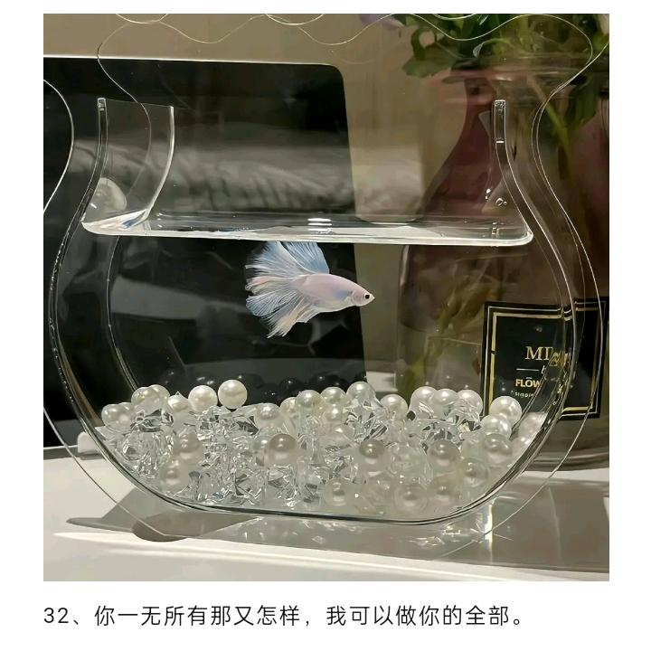 安身立命，心之所向
